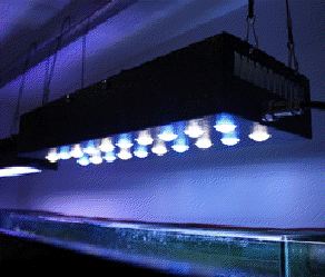 Stark LED, EShine LED Lighting over Aquarium, 60 watt