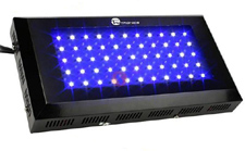 TaoTronics Aquarium Reef LED Light Fixture, Review