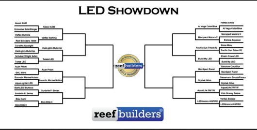 Skewed LED Aquarium Reef Light Showdown