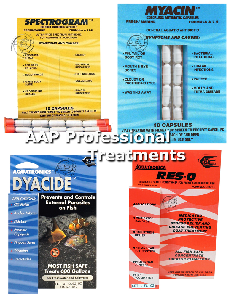 AAP Professional Treatments