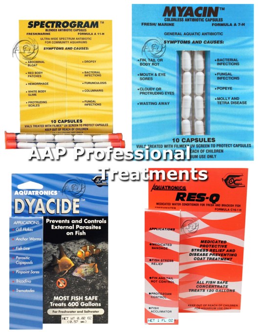 AAP Professional Treatments