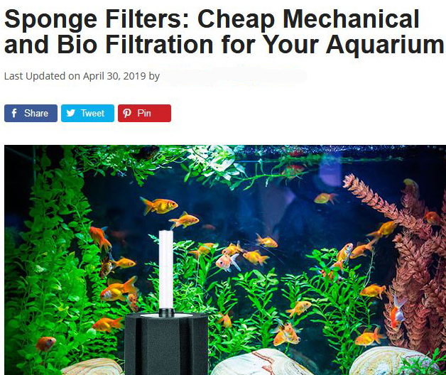 Hikari Sponge Filter from Amazon